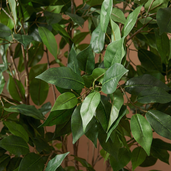 Kunst Ficus Benjamina - 130cm