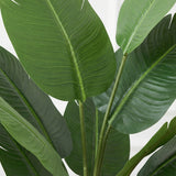 Product afbeelding 2
