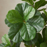 Product afbeelding 2