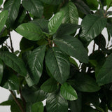Product afbeelding 2