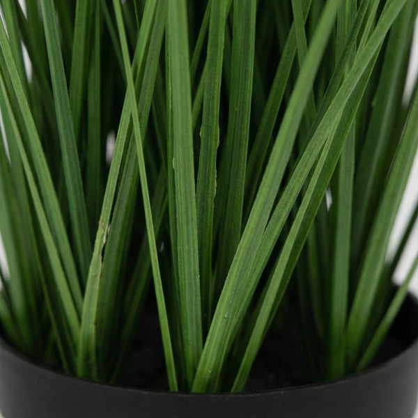 Kunst Onion Grass - 130cm