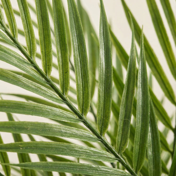 Kunst Kentia palm - 65cm