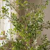 Product afbeelding 2