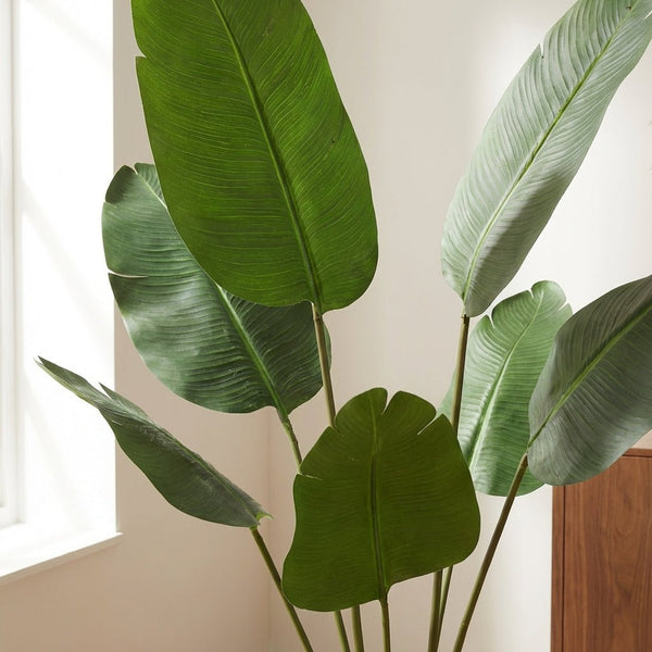 Kunst Strelitzia Nicolai - 135cm