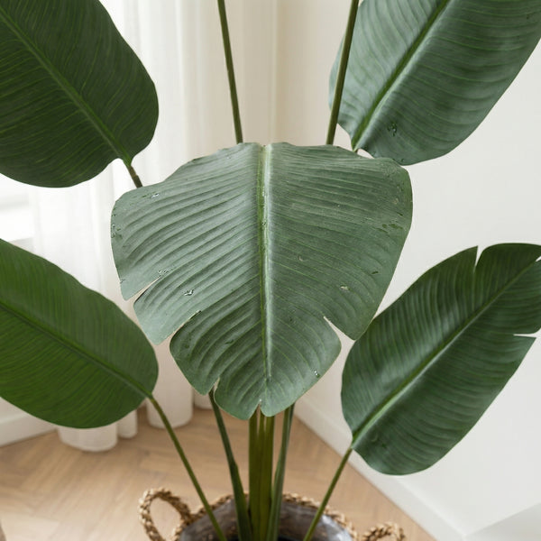 Kunst Strelitzia Nicolai - 170cm