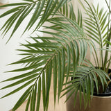 Product afbeelding 2