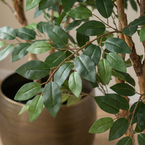 Kunst Ficus Exotica - 150cm