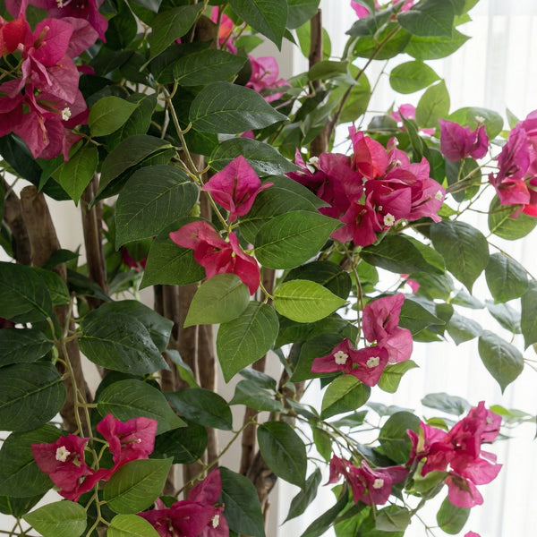 Kunst Bougainville - 120cm