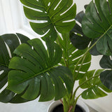Product afbeelding 2