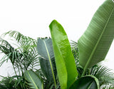 Product afbeelding 2