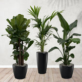 Product afbeelding 3