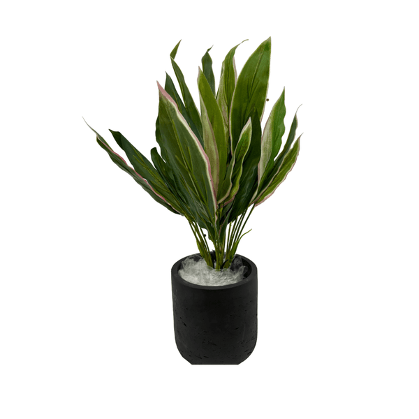 Cordyline Kunstplant - 30 cm