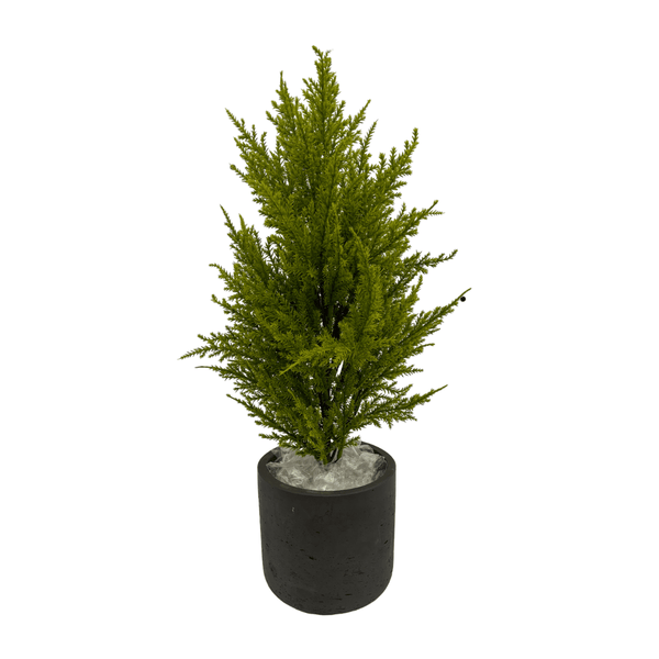 Cupressus Macrocarpa Kunstplant - 35 cm