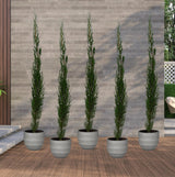 Product afbeelding 2