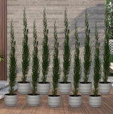 Product afbeelding 2