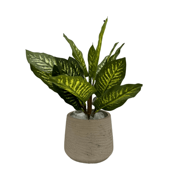 Dieffenbachia Seguine Kunstplant - 20 cm