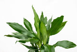 Product afbeelding 2