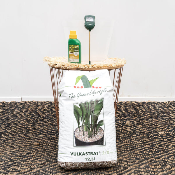 Plant potting kit