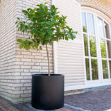 Product afbeelding 4