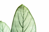 Product afbeelding 3
