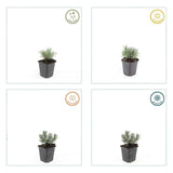 Product afbeelding 4