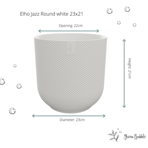 Combi deal - Kentia palm inclusief elho Jazz Round - 130 cm