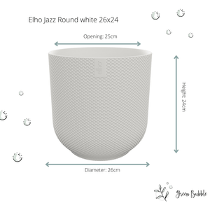 Combi deal - Kentia palm inclusief elho Jazz Round - 180 cm