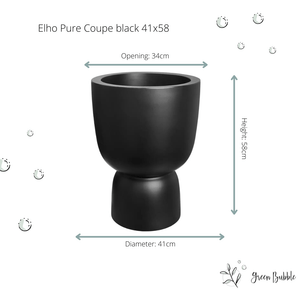 Combi deal - Pachira Aquatica inclusief elho Pure Coupe - 200 cm