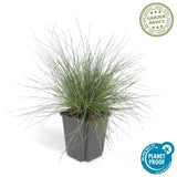 Product afbeelding 4