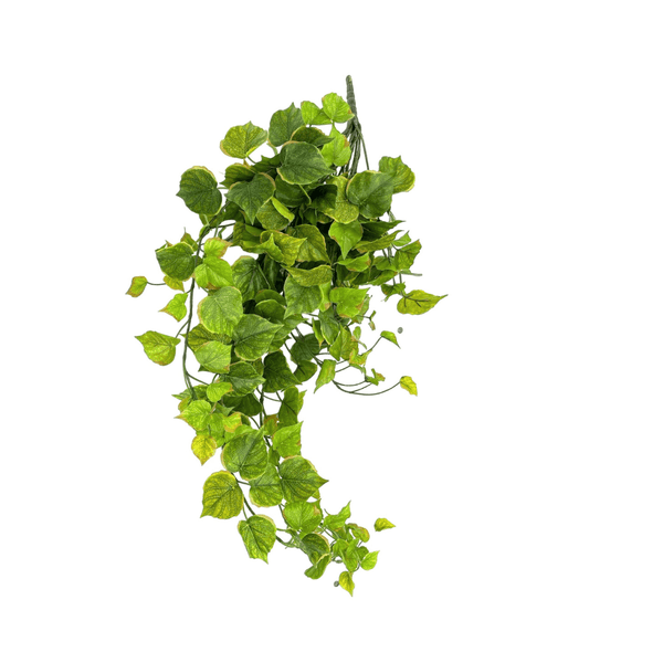 Epipremnum Aureum Kunstplant - 45 cm