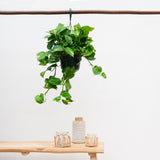 Product afbeelding 4