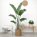 Product afbeelding 1