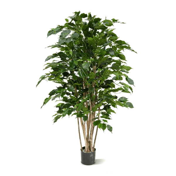 Ficus Benjamina Exotica kunstplant - 120 cm