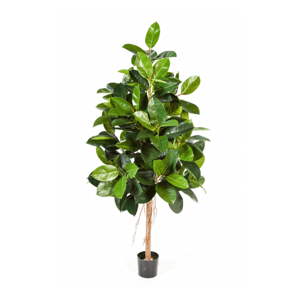 Ficus Elastica kunstplant - 180 cm