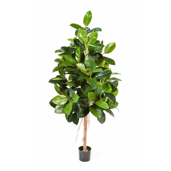 Ficus Elastica kunstplant - 210 cm