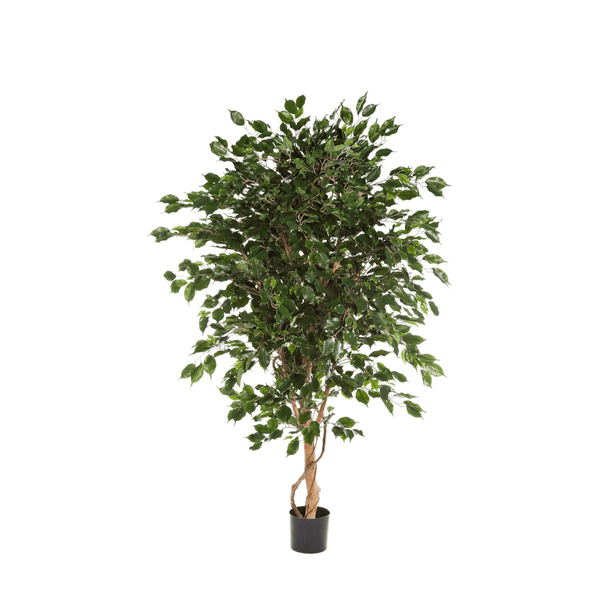 Ficus Exotica kunstplant - 150 cm