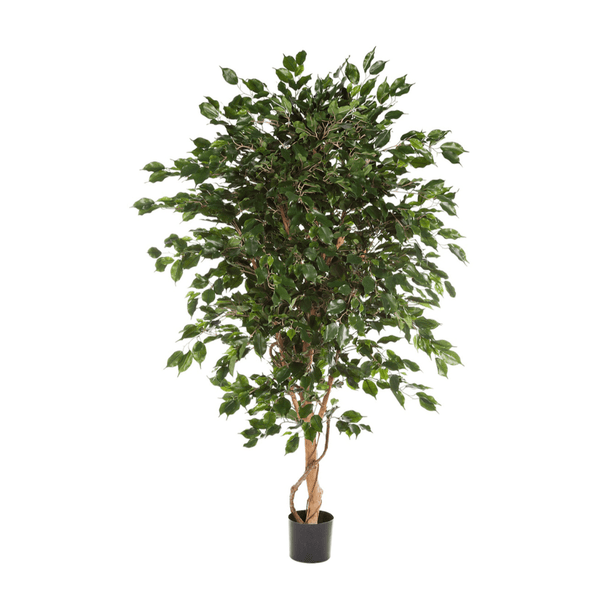 Ficus Exotica kunstplant - 240 cm