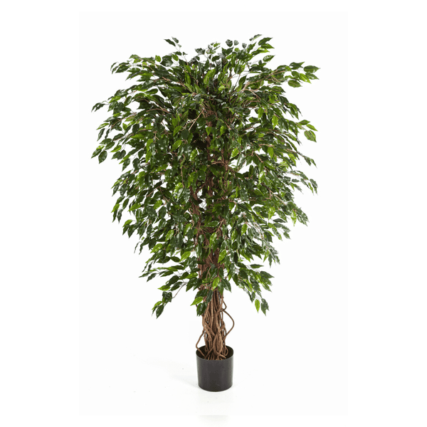 Ficus Hawaiian Liana kunstplant - 150 cm