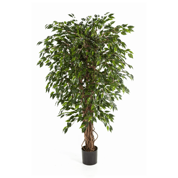 Ficus Hawaiian Liana kunstplant - 180 cm