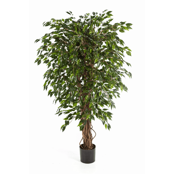 Ficus Hawaiian Liana kunstplant - 210 cm