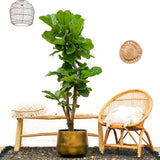 Product afbeelding 3