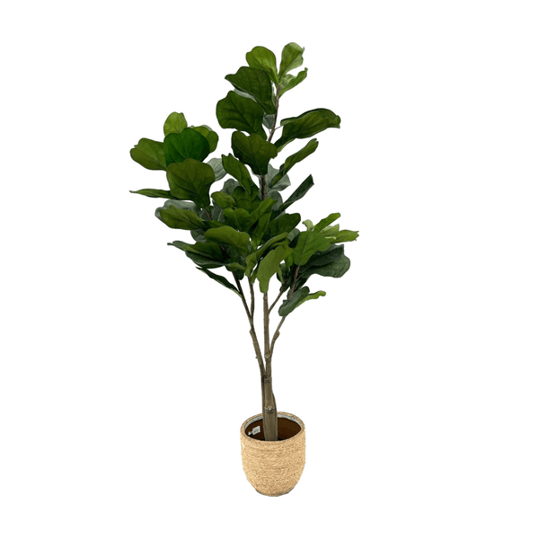 Kunst Ficus Lyrata vertakt - 180 cm