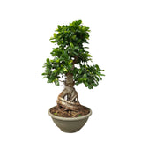 Product afbeelding 2