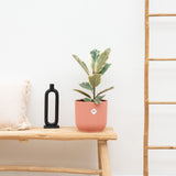 Product afbeelding 1