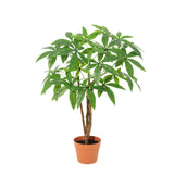 Product afbeelding 7