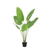 Product afbeelding 7