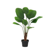 Product afbeelding 2
