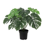 Product afbeelding 7