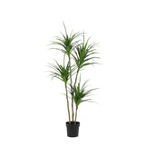 Product afbeelding 7