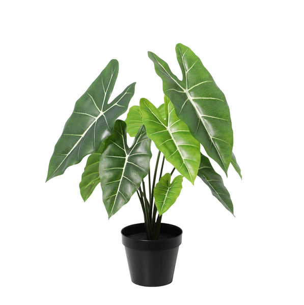 Kunst Alocasia Polly - 40cm